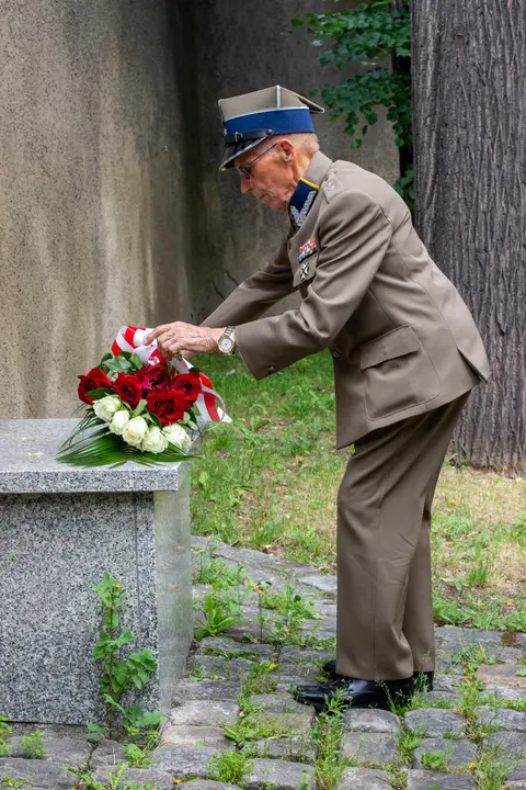 Galeria zdjęć – zdjęcie 14