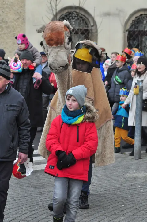 Galeria zdjęć – zdjęcie 3