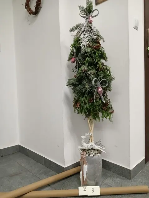 Galeria zdjęć – zdjęcie 9