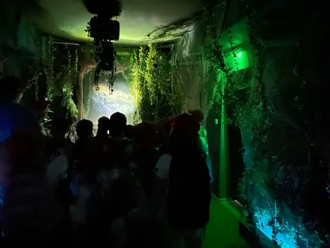 Galeria zdjęć – zdjęcie 21