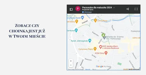 Galeria zdjęć – zdjęcie 4