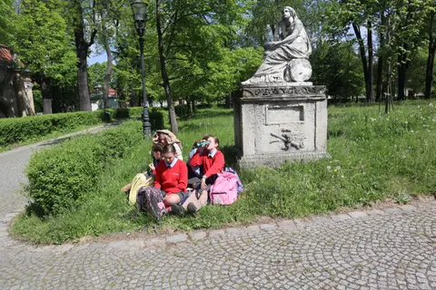 Galeria zdjęć – zdjęcie 5