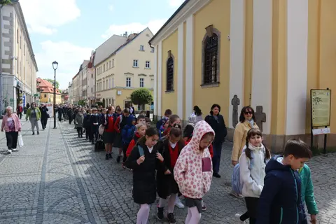 Galeria zdjęć – zdjęcie 37
