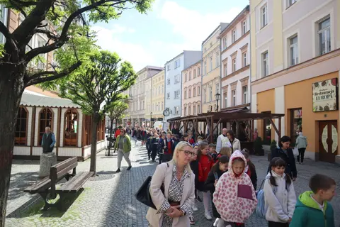 Galeria zdjęć – zdjęcie 41