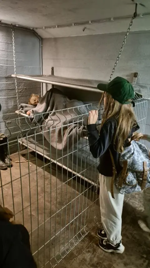 Galeria zdjęć – zdjęcie 21